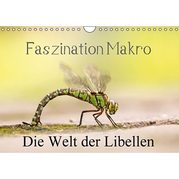 Faszination Makro - Die Welt der Libellen (Wandkalender 2016 DIN A4 quer), Andrea Potratz