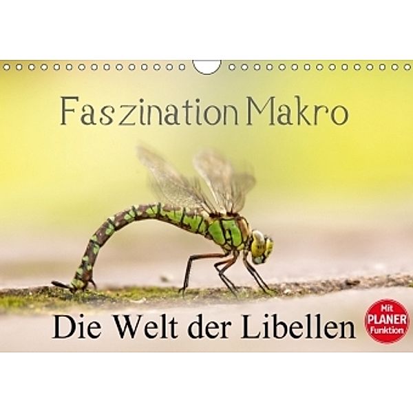 Faszination Makro - Die Welt der Libellen (Wandkalender 2017 DIN A4 quer), Andrea Potratz