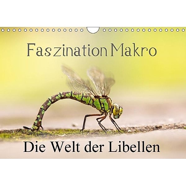 Faszination Makro - Die Welt der Libellen (Wandkalender 2017 DIN A4 quer), Andrea Potratz