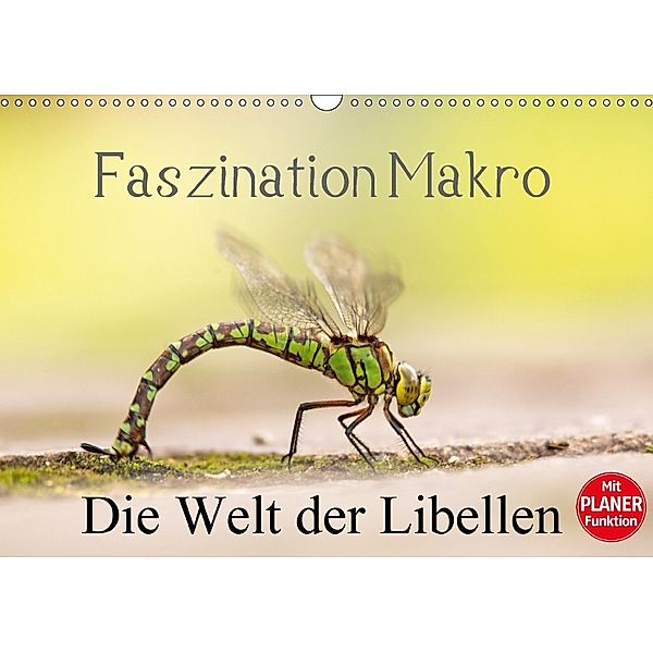 Faszination Makro - Die Welt der Libellen (Wandkalender 2018 DIN A3 quer), Andrea Potratz