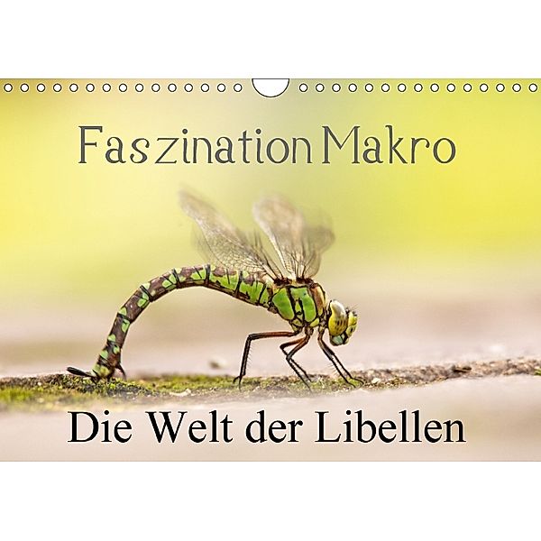Faszination Makro - Die Welt der Libellen (Wandkalender 2018 DIN A4 quer), Andrea Potratz
