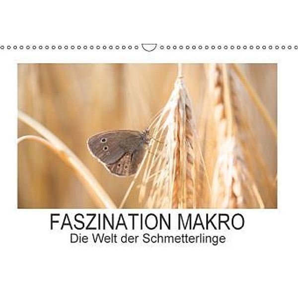 Faszination Makro - Die Welt der Schmetterlinge (Wandkalender 2016 DIN A3 quer), Andrea Potratz