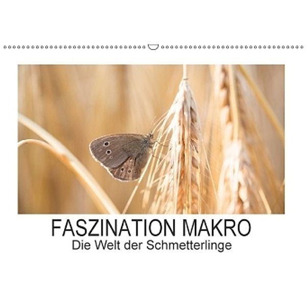 Faszination Makro - Die Welt der Schmetterlinge (Wandkalender 2017 DIN A2 quer), Andrea Potratz