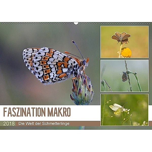 Faszination Makro - Die Welt der Schmetterlinge (Wandkalender 2018 DIN A2 quer) Dieser erfolgreiche Kalender wurde diese, Andrea Potratz