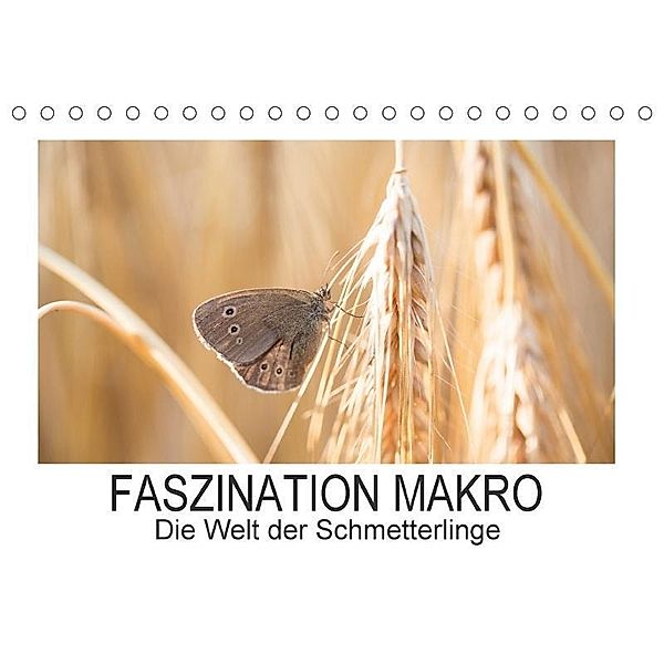 Faszination Makro - Die Welt der Schmetterlinge (Tischkalender 2017 DIN A5 quer), Andrea Potratz