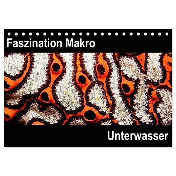Faszination Makro Unterwasser (Tischkalender 2024 DIN A5 quer), CALVENDO Monatskalender, Markus Bucher