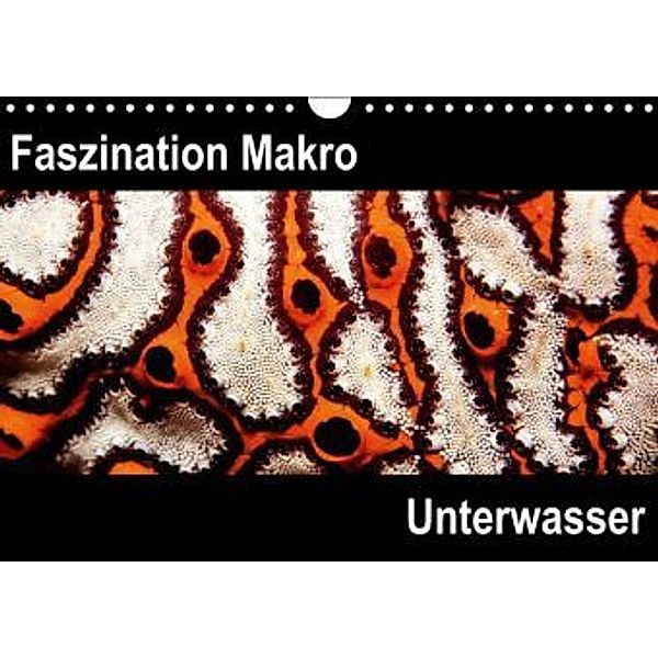 Faszination Makro Unterwasser (Wandkalender 2015 DIN A4 quer), Markus Bucher