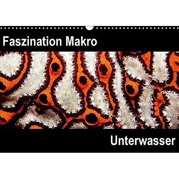 Faszination Makro UnterwasserCH-Version (Wandkalender 2018 DIN A3 quer), Markus Bucher
