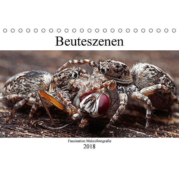 Faszination Makrofotografie: Beuteszenen (Tischkalender 2018 DIN A5 quer), Alexander Mett