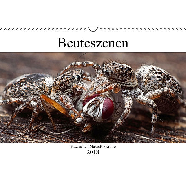Faszination Makrofotografie: Beuteszenen (Wandkalender 2018 DIN A3 quer), Alexander Mett