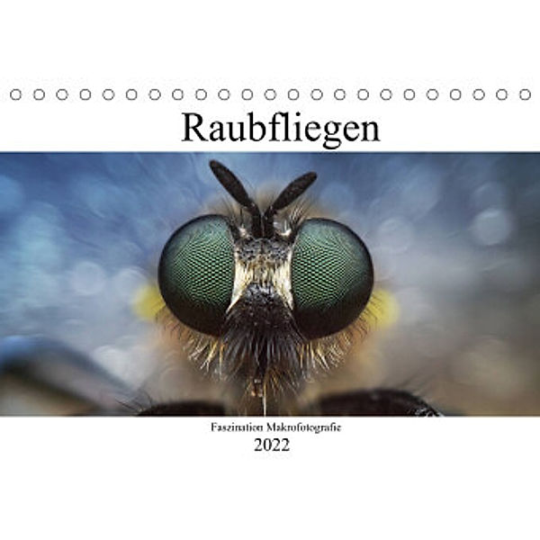 Faszination Makrofotografie: Raubfliegen (Tischkalender 2022 DIN A5 quer), Alexander Mett Photography