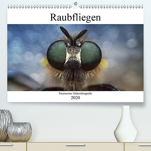 Faszination Makrofotografie: Raubfliegen (Premium-Kalender 2020 DIN A2 quer), Alexander Mett Photography