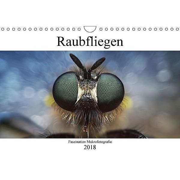 Faszination Makrofotografie: Raubfliegen (Wandkalender 2018 DIN A4 quer), Alexander Mett