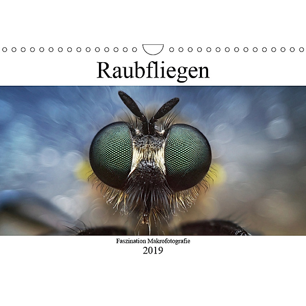 Faszination Makrofotografie: Raubfliegen (Wandkalender 2019 DIN A4 quer), Alexander Mett