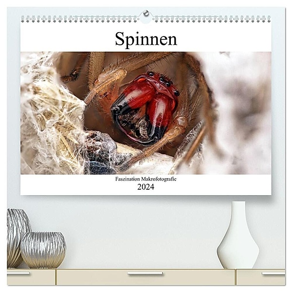 Faszination Makrofotografie: Spinnen (hochwertiger Premium Wandkalender 2024 DIN A2 quer), Kunstdruck in Hochglanz, Alexander Mett Photography