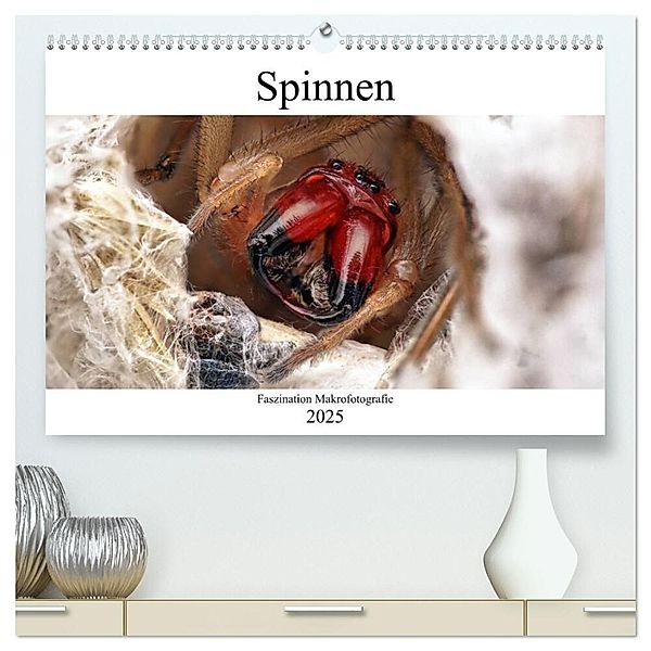 Faszination Makrofotografie: Spinnen (hochwertiger Premium Wandkalender 2025 DIN A2 quer), Kunstdruck in Hochglanz, Calvendo, Alexander Mett Photography