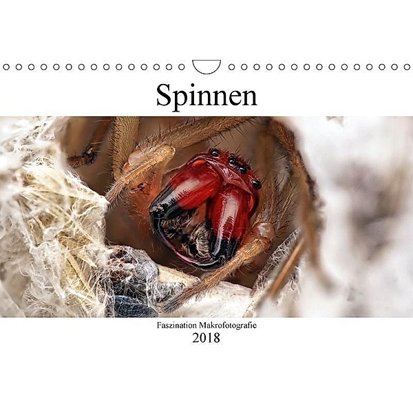 Faszination Makrofotografie: Spinnen (Wandkalender 2018 DIN A4 quer), Alexander Mett