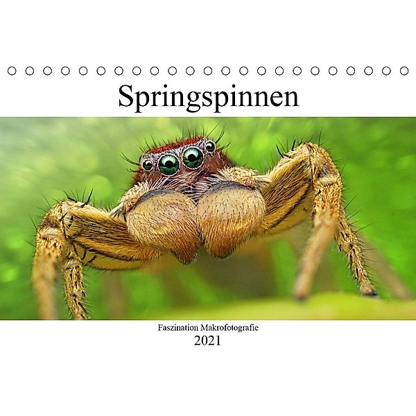 Faszination Makrofotografie: Springspinnen (Tischkalender 2021 DIN A5 quer), Alexander Mett Photography
