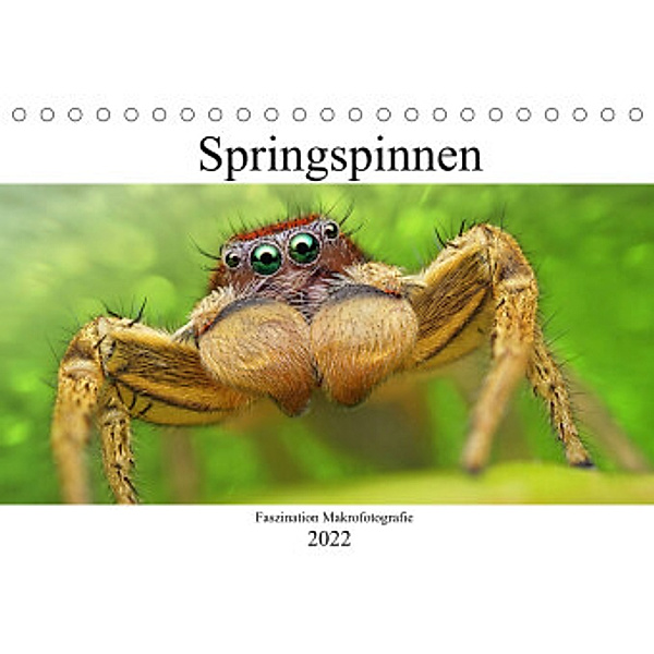 Faszination Makrofotografie: Springspinnen (Tischkalender 2022 DIN A5 quer), Alexander Mett Photography
