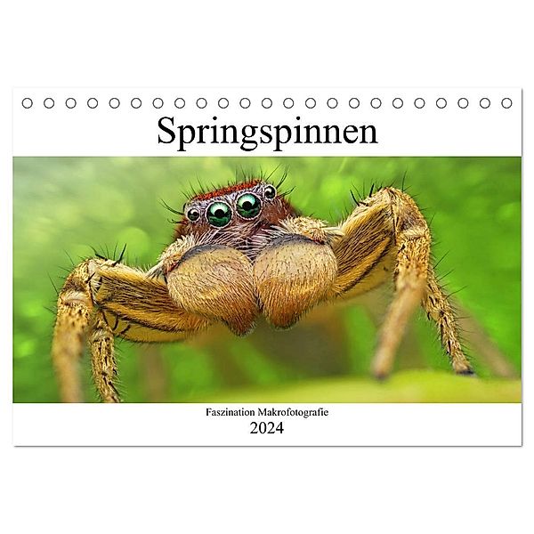 Faszination Makrofotografie: Springspinnen (Tischkalender 2024 DIN A5 quer), CALVENDO Monatskalender, Alexander Mett Photography