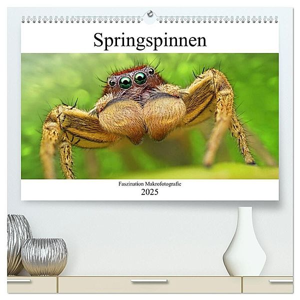 Faszination Makrofotografie: Springspinnen (hochwertiger Premium Wandkalender 2025 DIN A2 quer), Kunstdruck in Hochglanz, Calvendo, Alexander Mett Photography