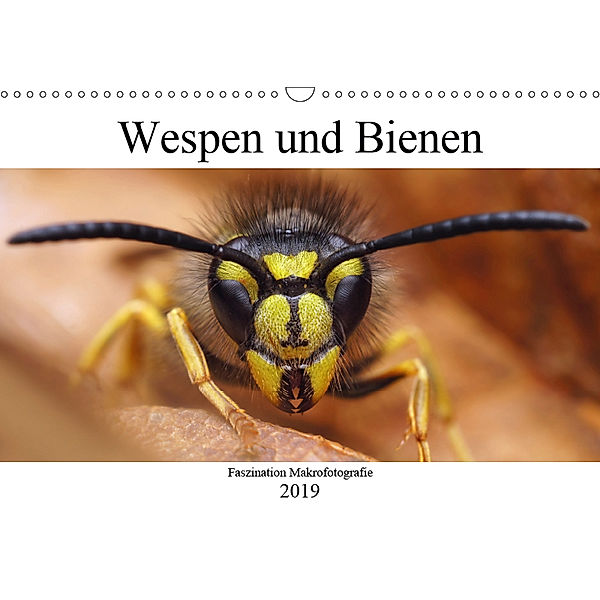 Faszination Makrofotografie: Wespen und Bienen (Wandkalender 2019 DIN A3 quer), Alexander Mett