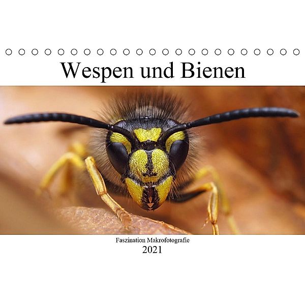 Faszination Makrofotografie: Wespen und Bienen (Tischkalender 2021 DIN A5 quer), Alexander Mett Photography