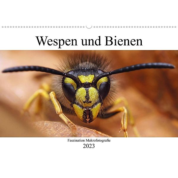 Faszination Makrofotografie: Wespen und Bienen (Wandkalender 2023 DIN A2 quer), Alexander Mett Photography