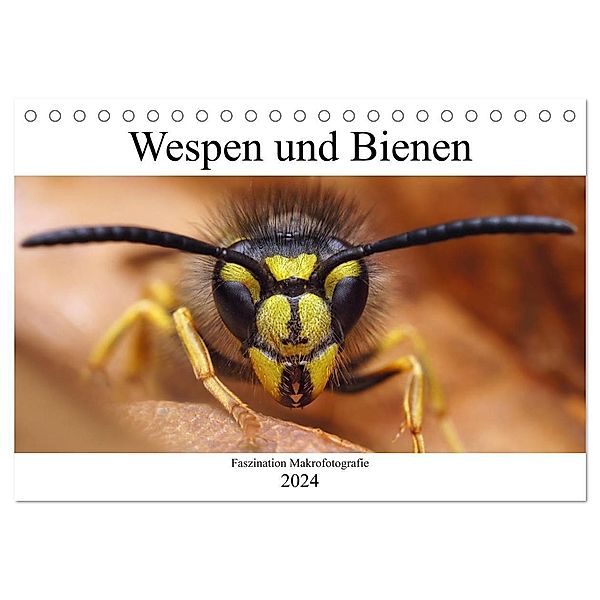 Faszination Makrofotografie: Wespen und Bienen (Tischkalender 2024 DIN A5 quer), CALVENDO Monatskalender, Alexander Mett Photography