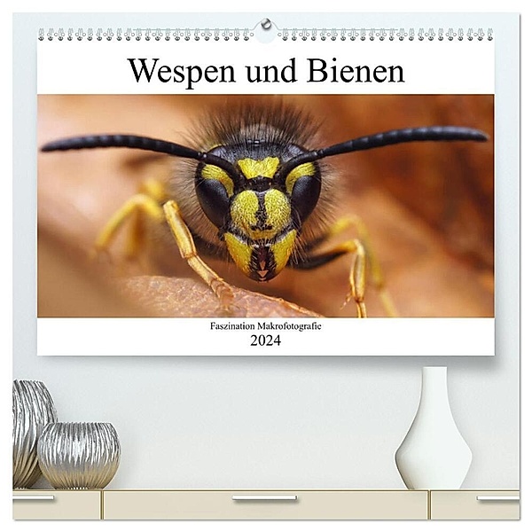 Faszination Makrofotografie: Wespen und Bienen (hochwertiger Premium Wandkalender 2024 DIN A2 quer), Kunstdruck in Hochglanz, Alexander Mett Photography