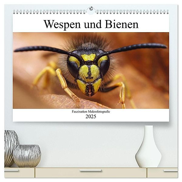 Faszination Makrofotografie: Wespen und Bienen (hochwertiger Premium Wandkalender 2025 DIN A2 quer), Kunstdruck in Hochglanz, Calvendo, Alexander Mett Photography