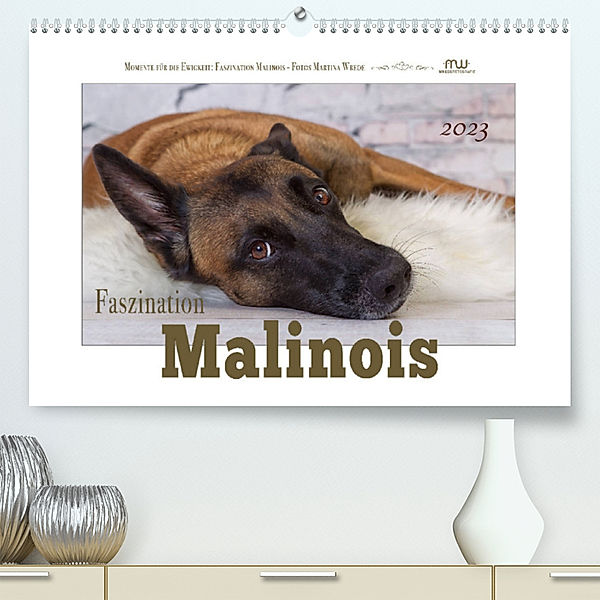 Faszination Malinois (Premium, hochwertiger DIN A2 Wandkalender 2023, Kunstdruck in Hochglanz), Martina Wrede