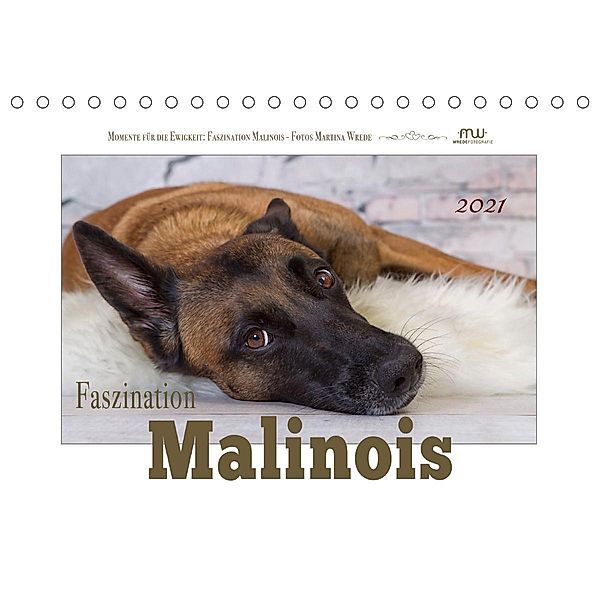 Faszination Malinois (Tischkalender 2021 DIN A5 quer), Martina Wrede