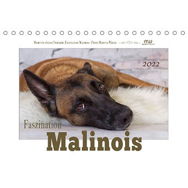 Faszination Malinois (Tischkalender 2022 DIN A5 quer), Martina Wrede