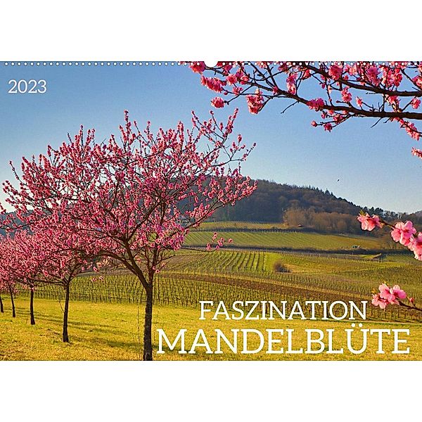 FASZINATION MANDELBLÜTE (Wandkalender 2023 DIN A2 quer), Sulamay Fillinger