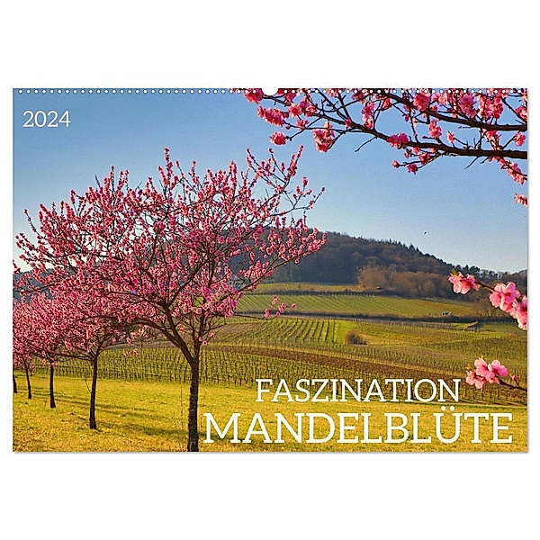 FASZINATION MANDELBLÜTE (Wandkalender 2024 DIN A2 quer), CALVENDO Monatskalender, Sulamay Fillinger