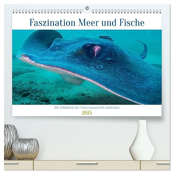 Faszination Meer und Fische (hochwertiger Premium Wandkalender 2025 DIN A2 quer), Kunstdruck in Hochglanz, Calvendo, Peter Schulz