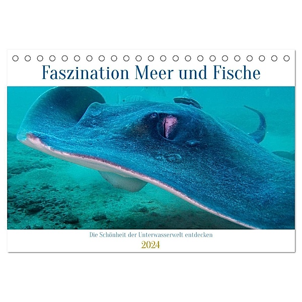 Faszination Meer und Fische (Tischkalender 2024 DIN A5 quer), CALVENDO Monatskalender, Peter Schulz