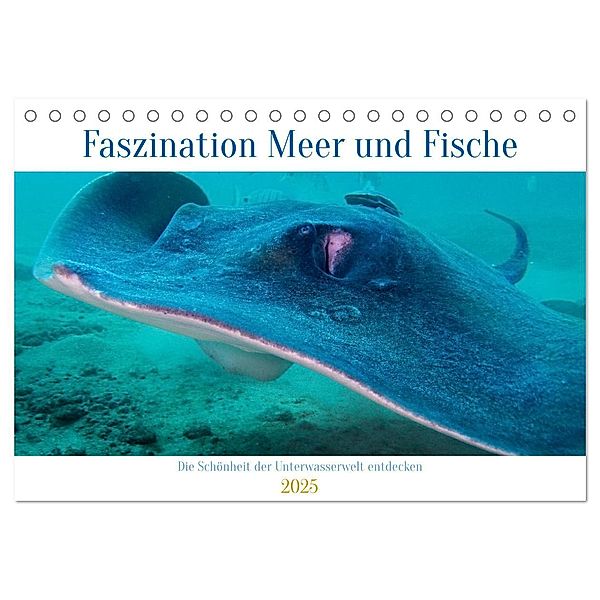 Faszination Meer und Fische (Tischkalender 2025 DIN A5 quer), CALVENDO Monatskalender, Calvendo, Peter Schulz