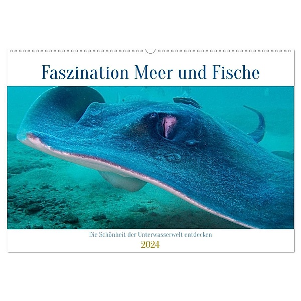 Faszination Meer und Fische (Wandkalender 2024 DIN A2 quer), CALVENDO Monatskalender, Peter Schulz