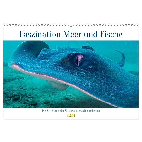 Faszination Meer und Fische (Wandkalender 2024 DIN A3 quer), CALVENDO Monatskalender, Peter Schulz