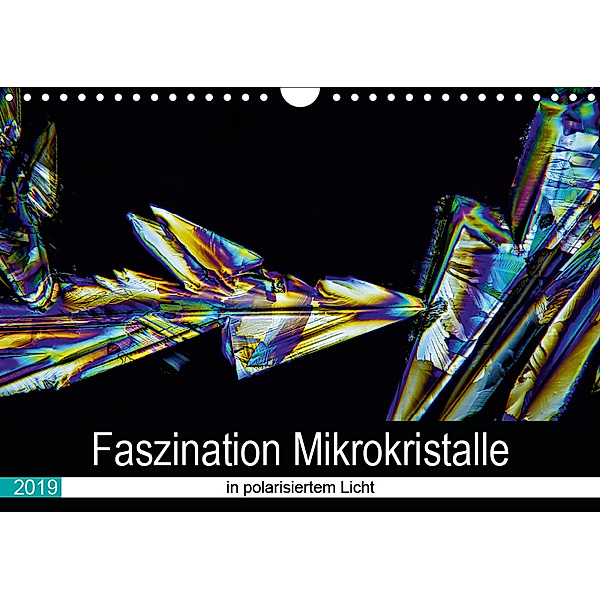Faszination Mikrokristalle in polarisiertem Licht (Wandkalender 2019 DIN A4 quer), Thomas Becker