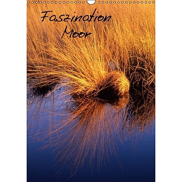 Faszination Moor (Wandkalender 2015 DIN A3 hoch), Michael Bücker, Dirk Grasse, Annelie Hegerfeld-Reckert, Leon Uppena