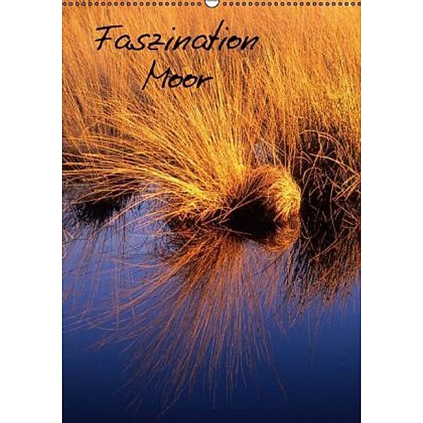 Faszination Moor (Wandkalender 2016 DIN A2 hoch), Michael Bücker, Dirk Grasse, Annelie Hegerfeld-Reckert