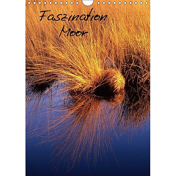 Faszination Moor (Wandkalender 2018 DIN A4 hoch), Michael Bücker
