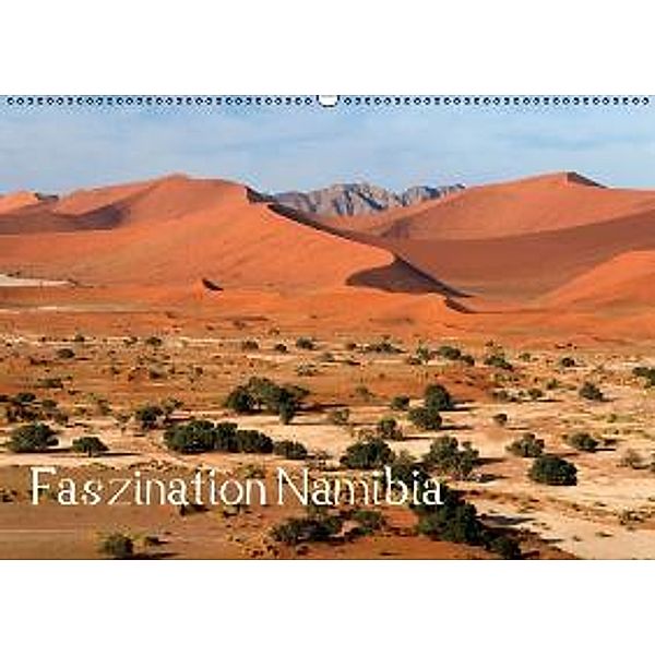 Faszination Namibia (Wandkalender 2016 DIN A2 quer), Frauke Scholz