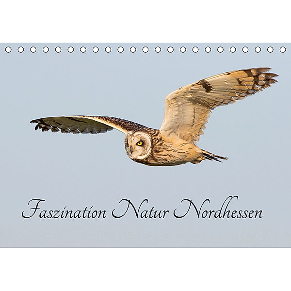 Faszination Natur Nordhessen (Tischkalender 2019 DIN A5 quer), Wilfried Martin