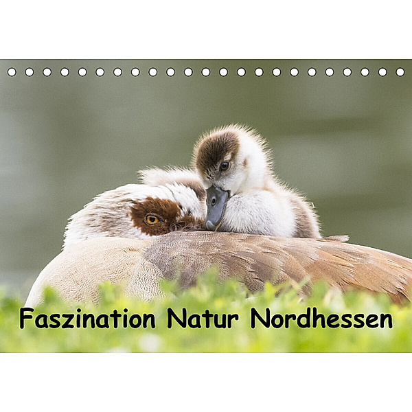 Faszination Natur Nordhessen (Tischkalender 2023 DIN A5 quer), Wilfried Martin