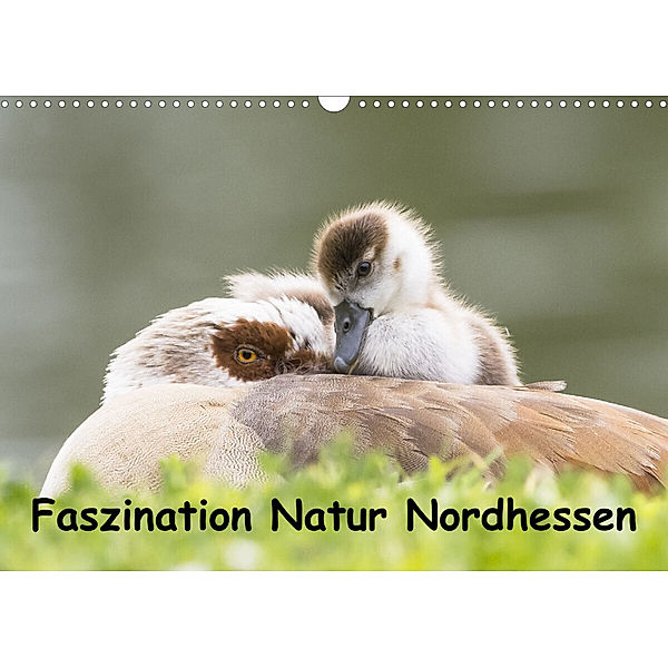 Faszination Natur Nordhessen (Wandkalender 2023 DIN A3 quer), Wilfried Martin