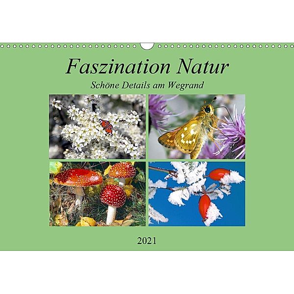 Faszination Natur - Schöne Details am Wegrand (Wandkalender 2021 DIN A3 quer), Lothar Reupert